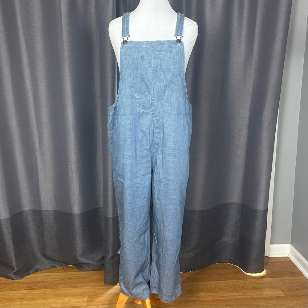 Aerie Blue White Striped Denim Overalls XL